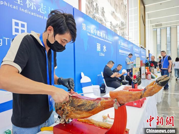 第二届中欧地理标志论坛在河南郑州举行