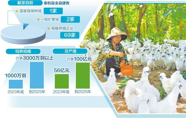 “白凤仙子”养成记——江西泰和打造百亿元级乌鸡产业